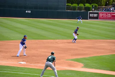 DSC_1537 (Large).JPG